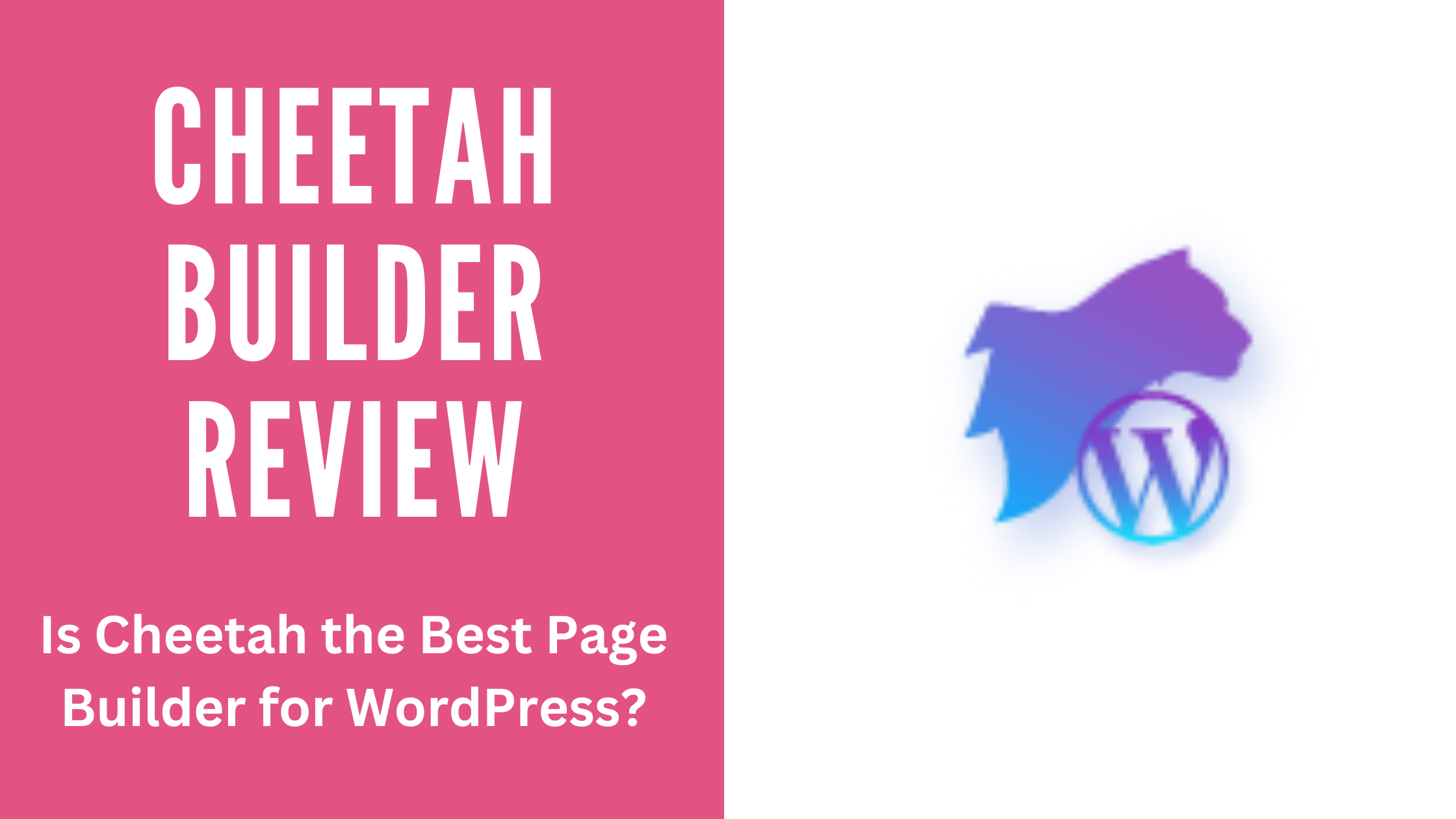 Cheetah Builder Review
